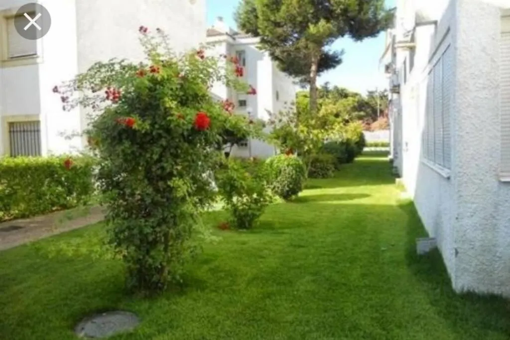 Apartamento Acogedor Apartamento A 100 M. De Pinares Y Playa Rota España