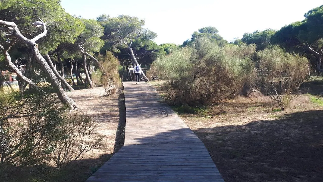 Apartamento Acogedor Apartamento A 100 M. De Pinares Y Playa Rota