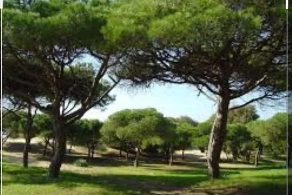 Acogedor Apartamento A 100 M. De Pinares Y Playa Apartment Rota 0*,  Spain