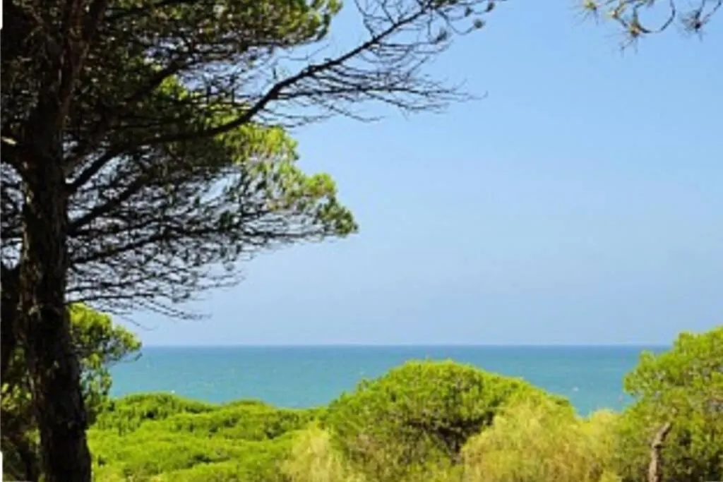 Acogedor Apartamento A 100 M. De Pinares Y Playa Apartment Rota
